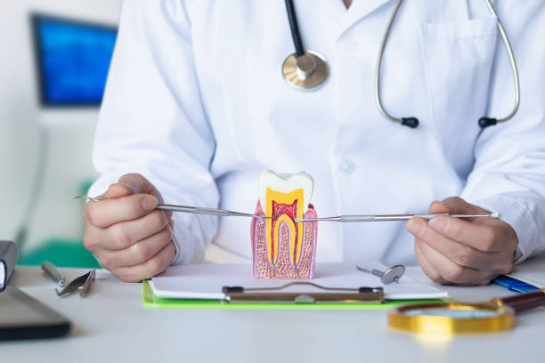 Best Urgent Care for Lost Fillings or Crowns in Irwin, SC